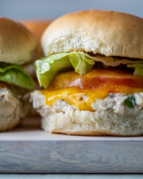 9-Sublime-Slider-Recipes-2