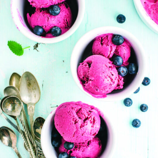 Fresh Blueberry Granita Gelson's