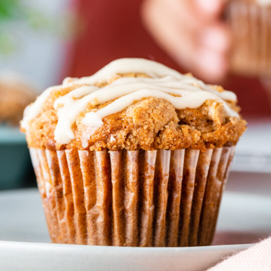 Apple Cinnamon Streusel Muffins Gelson's