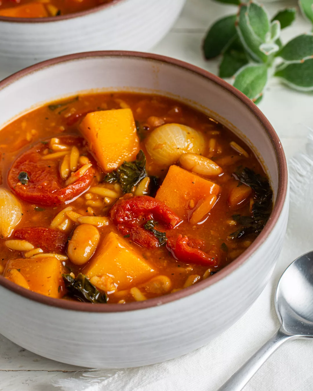 Squash and White Bean Stew (Vegan) Squash and White Bean Stew (Vegan)