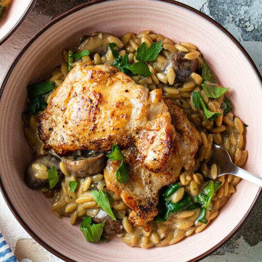 One-Pot Chicken & Creamy Mushroom Orzo Gelson's