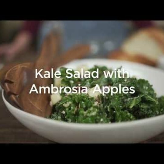 Kale Salad with Ambrosia Apples Gelson's