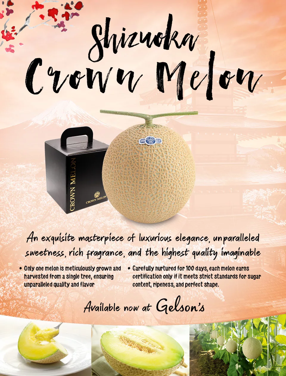 Melonさま専用 Shizuoka Crown Melon Available at Gelson's Gelson's